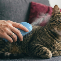 Spazzola a Vapore Rilassante 3-in-1